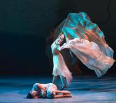 南寧綜合文藝表演 網(wǎng)絡(luò)文化經(jīng)營與營業(yè)性演出許可證合規(guī)指南